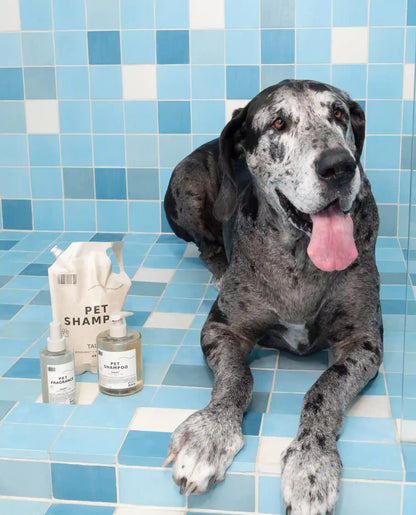 Mini Pet Shampoo 01 "Taunt"