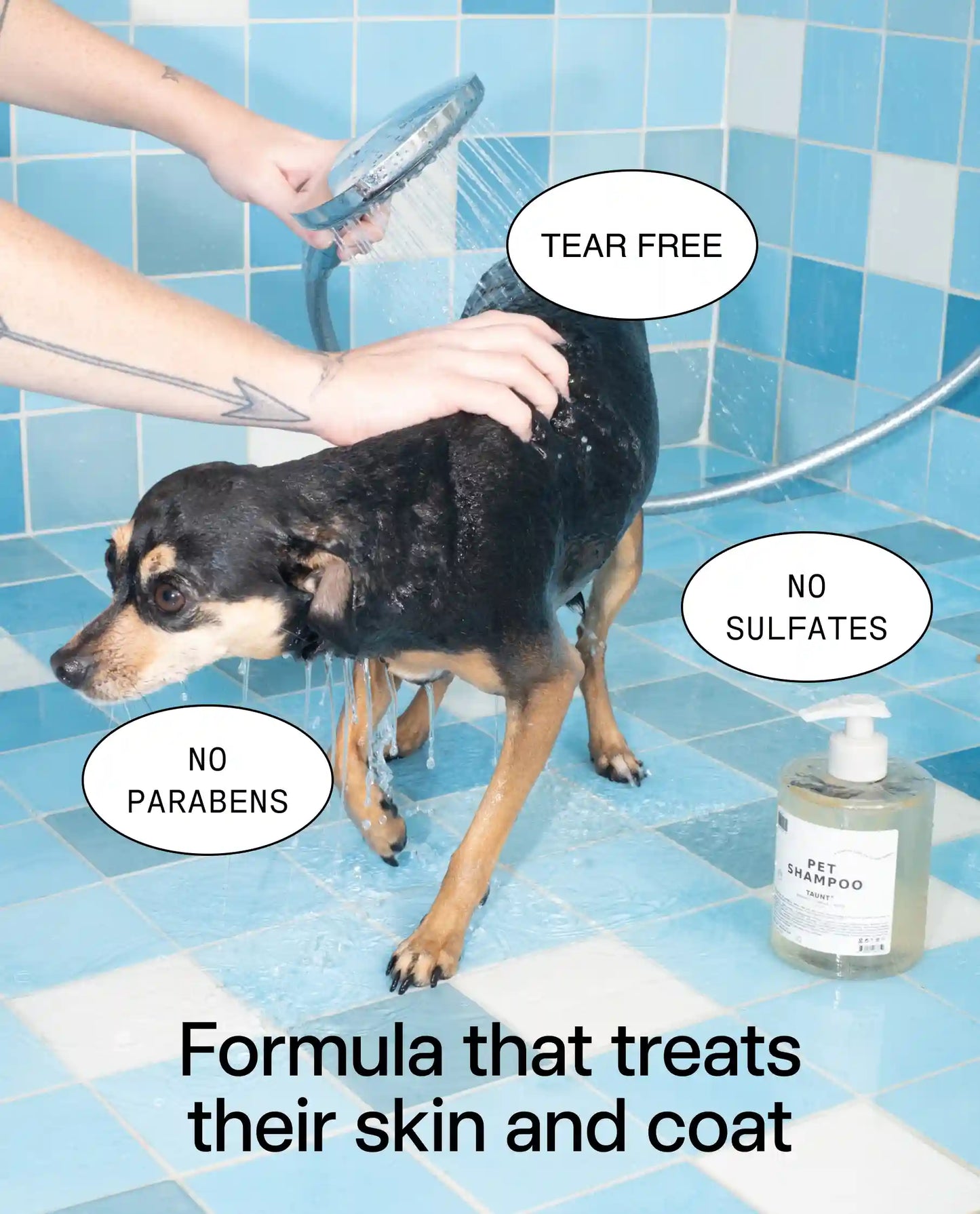Pet Shampoo 01 "Taunt" Refill