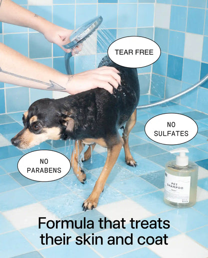 Pet Shampoo 01 "Taunt" Refill